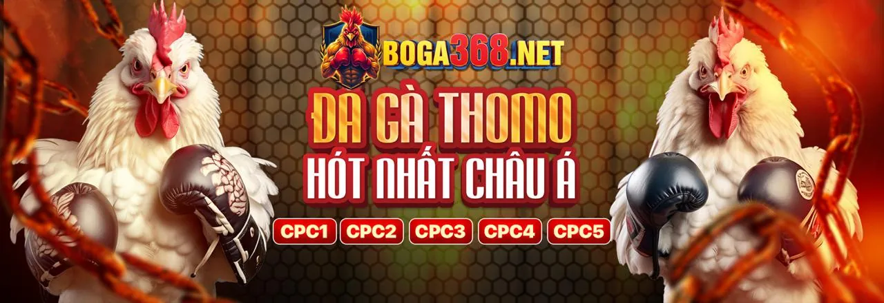 Đá Gà Trực Tuyến win168 club 2026
