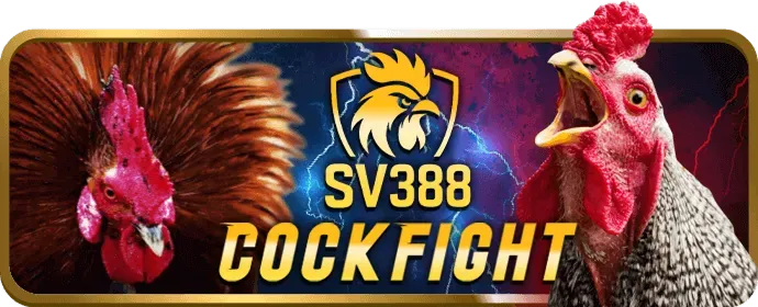 Cộng Đồng Sôi Động